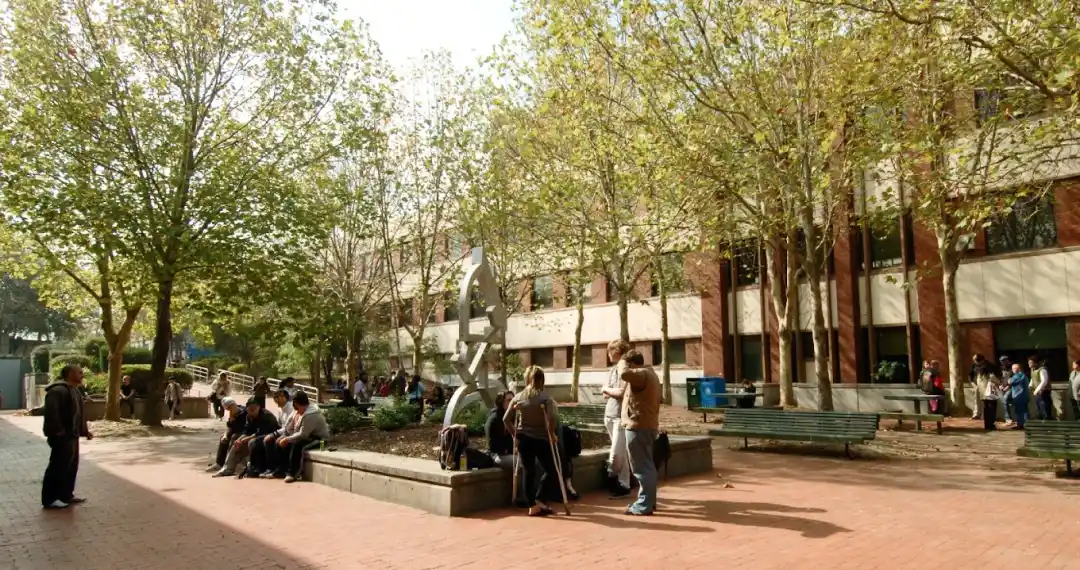 A relaxed & friendly campus. Footscray Nicholson – there is a modern learning commons with a library and study spaces