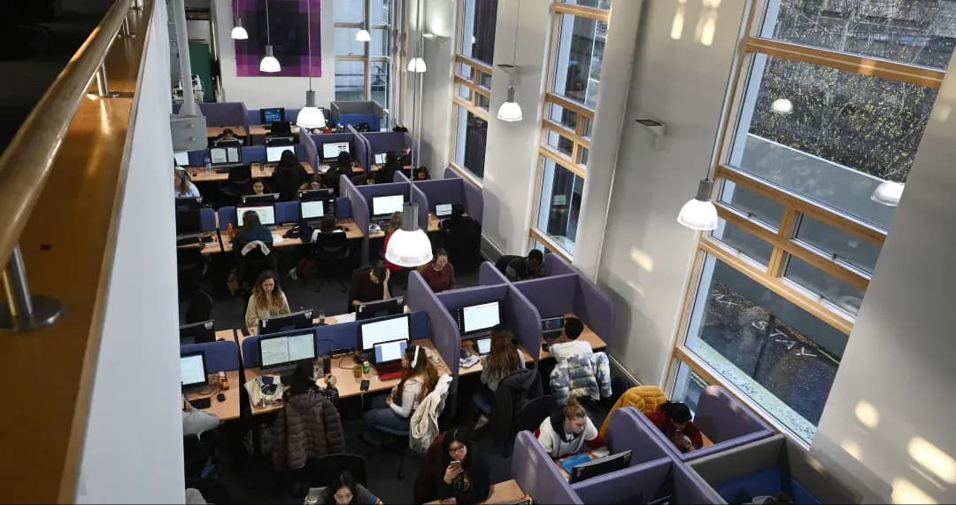 Library, provides flexible access to materials and spaces for studying, research, and collaborative work