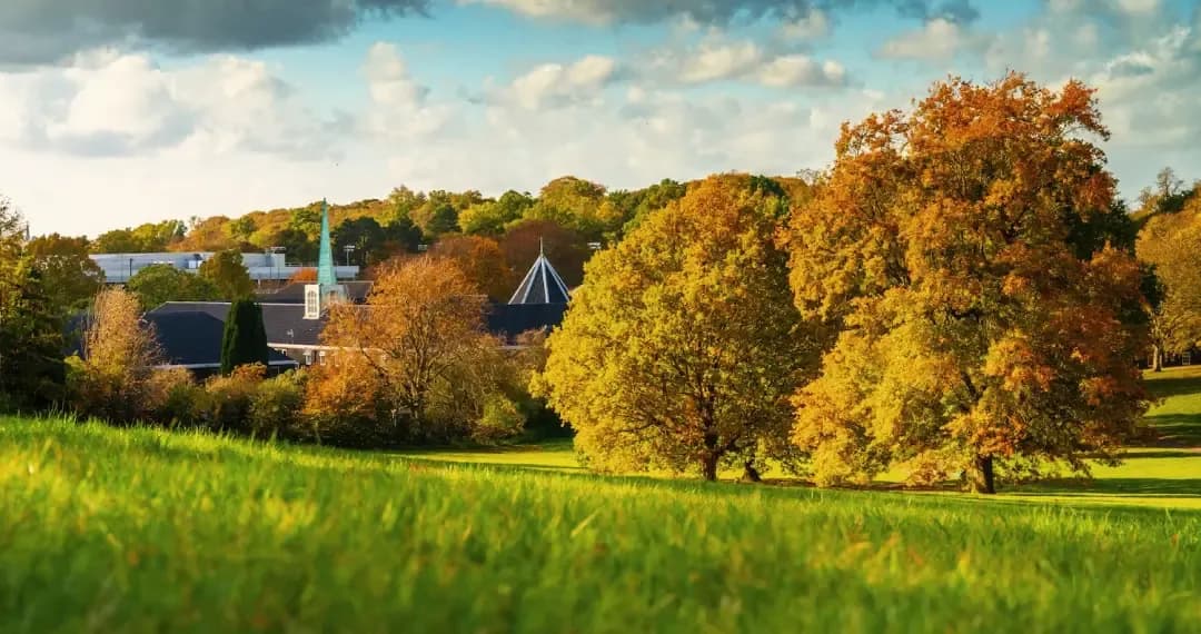 The Downs is a large open green space is a popular spot for students to relax, socialize, and outdoor activities