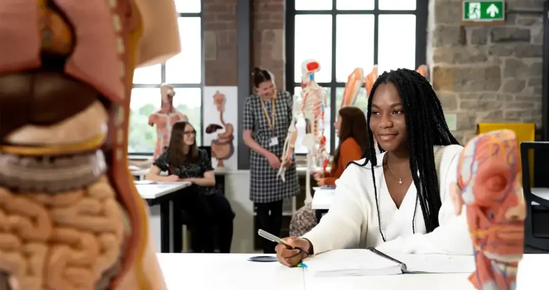 The Anatomage Suite is used by students studying on medical and nursing courses