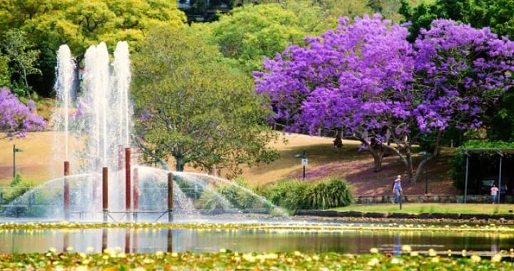 St Lucia Lakes in the university grounds