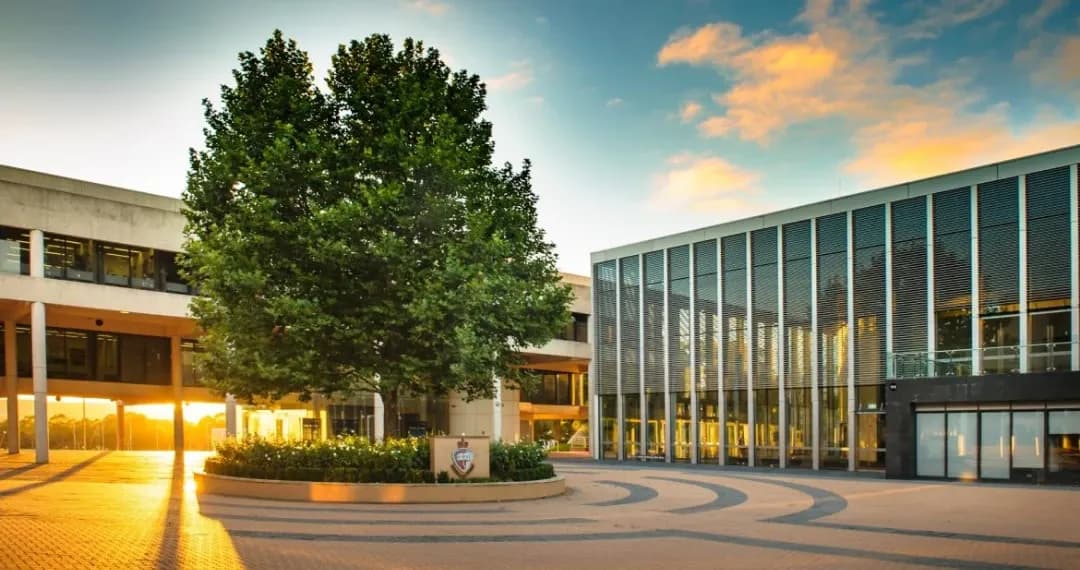 The Tree of Knowledge