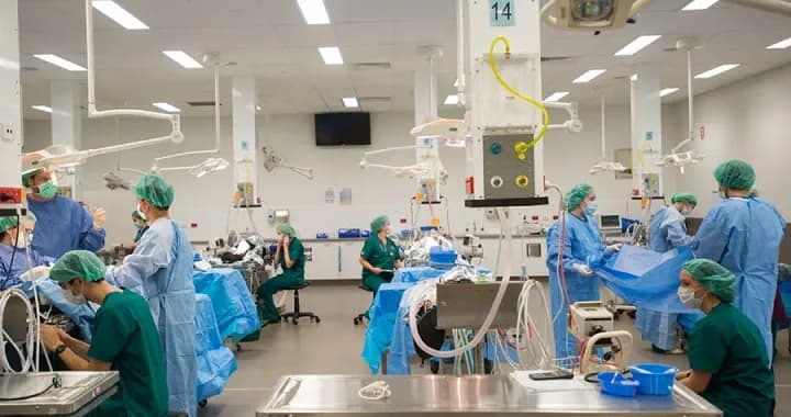Roseworthy campus is home to South Australia’s only veterinary school and teaching hospital